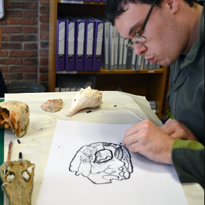 Person drawing a skull on paper with animal skulls on a table