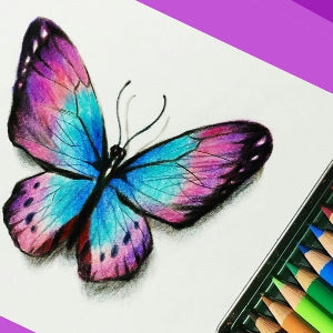 Drawing Exploration: Learn drawing/coloring with color pencils (age 7-10) Nov. 1-Dec. 20 (no class Nov. 29) (12:30-1:30pm) 7 weeks