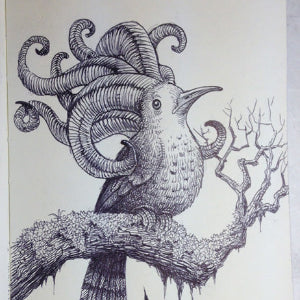 A black ink illustration of a bird with curled horns perched on a branch.