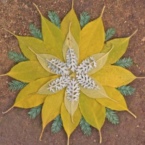 Wellness through Art: Nature Mandala (Oct. 15)