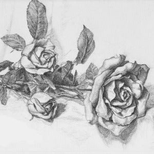 Wellness through Art: Pencil Drawing Still life (March 26)