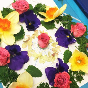 Wellness through Art: Spring Mandala (April 9)