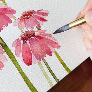 Intro to Watercolor Painting (adult) Tuesdays, Sept. 2-Oct. 14 (1-2:30pm)